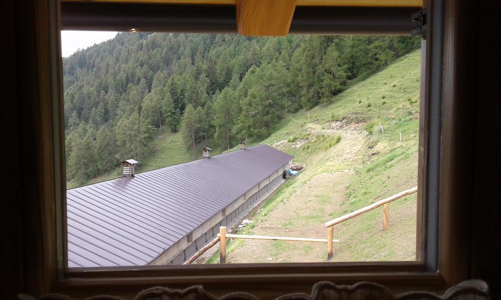 Restor Natura Malga Mondent Pracorno di Rabbi Luaran gambar